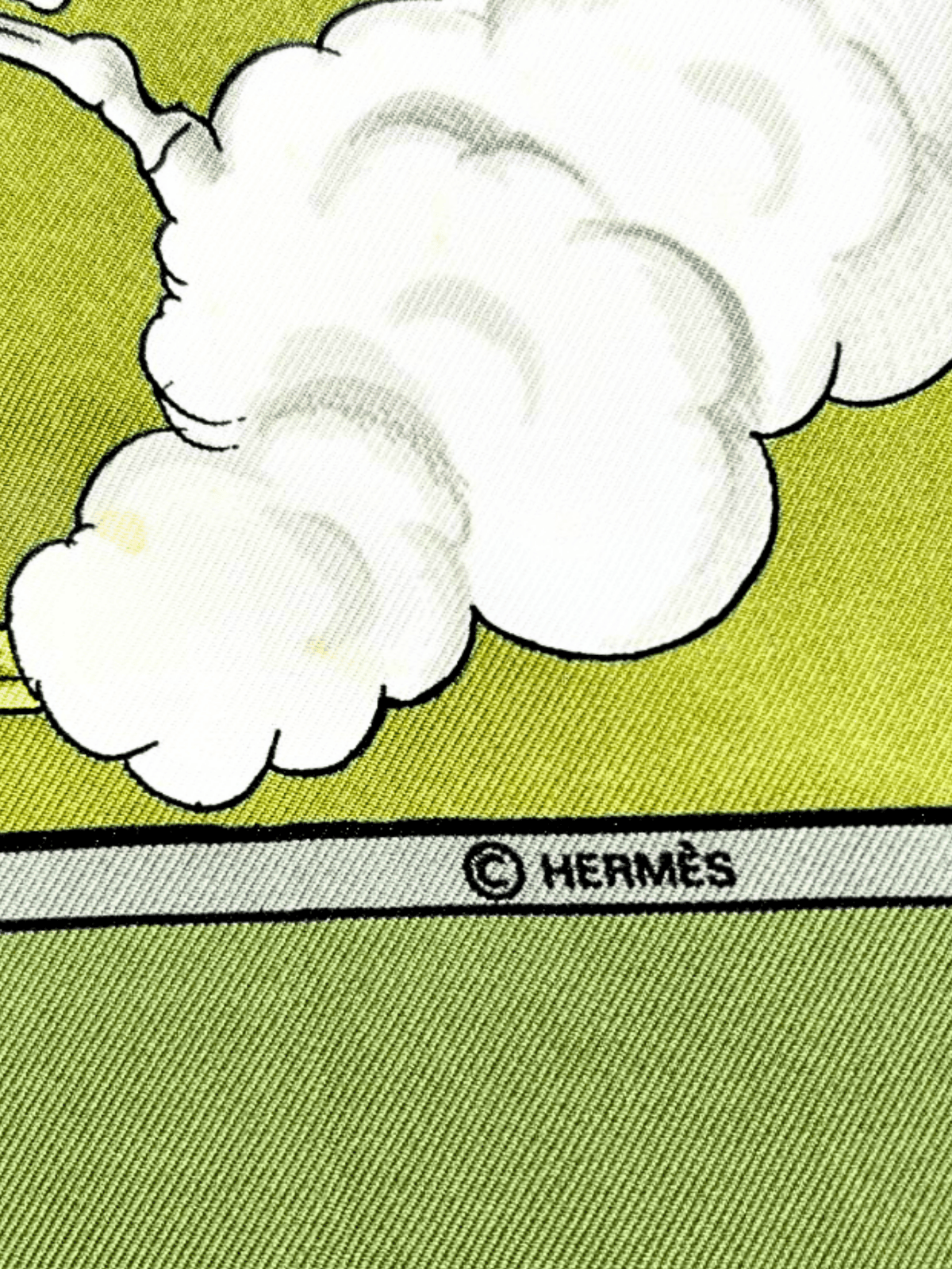 Hermes 2000s Green Cosmos Silk Carré 90 Scarf