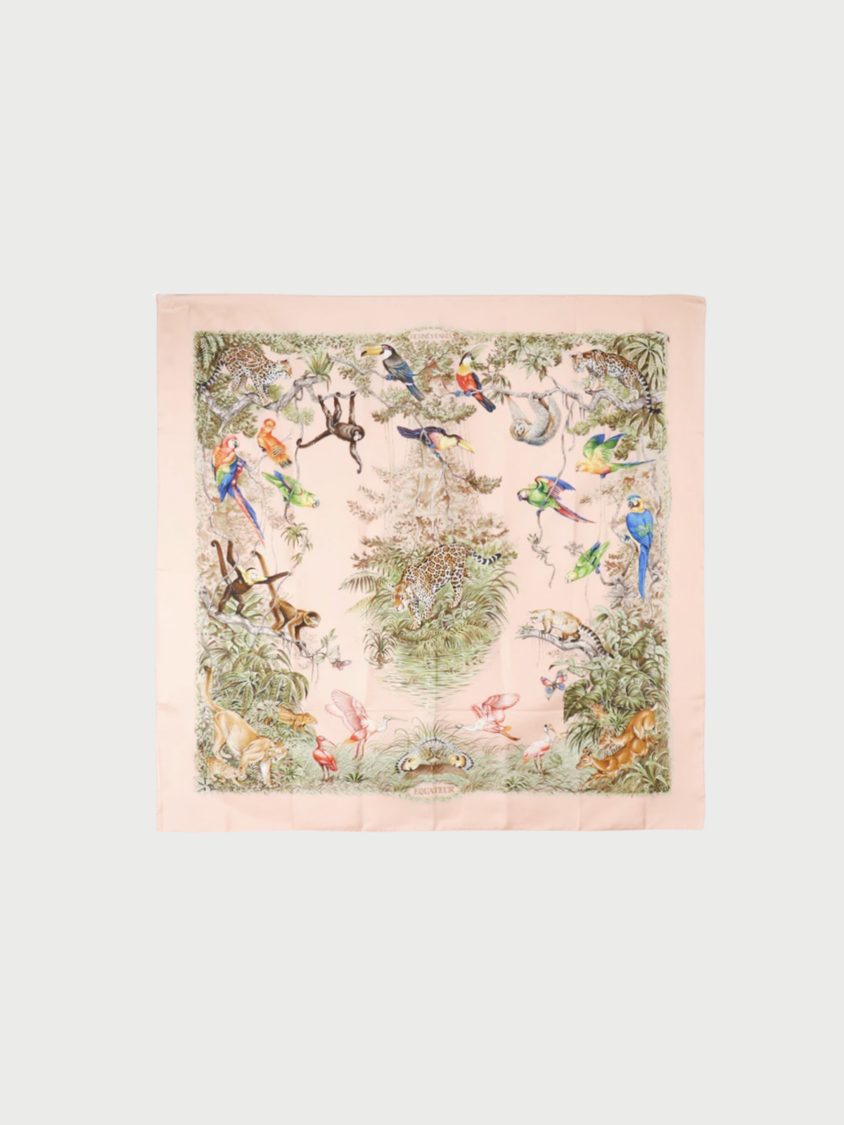 Hermès 2000s Raspberry Pink Silk Carré 90 Equateur Scarf