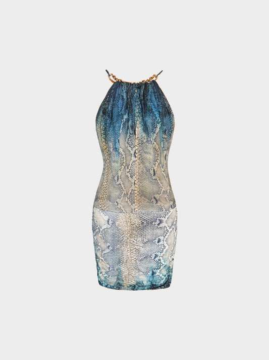 Roberto Cavalli Late 2000s Blue and Beige Snake Skin Print Silk Dress