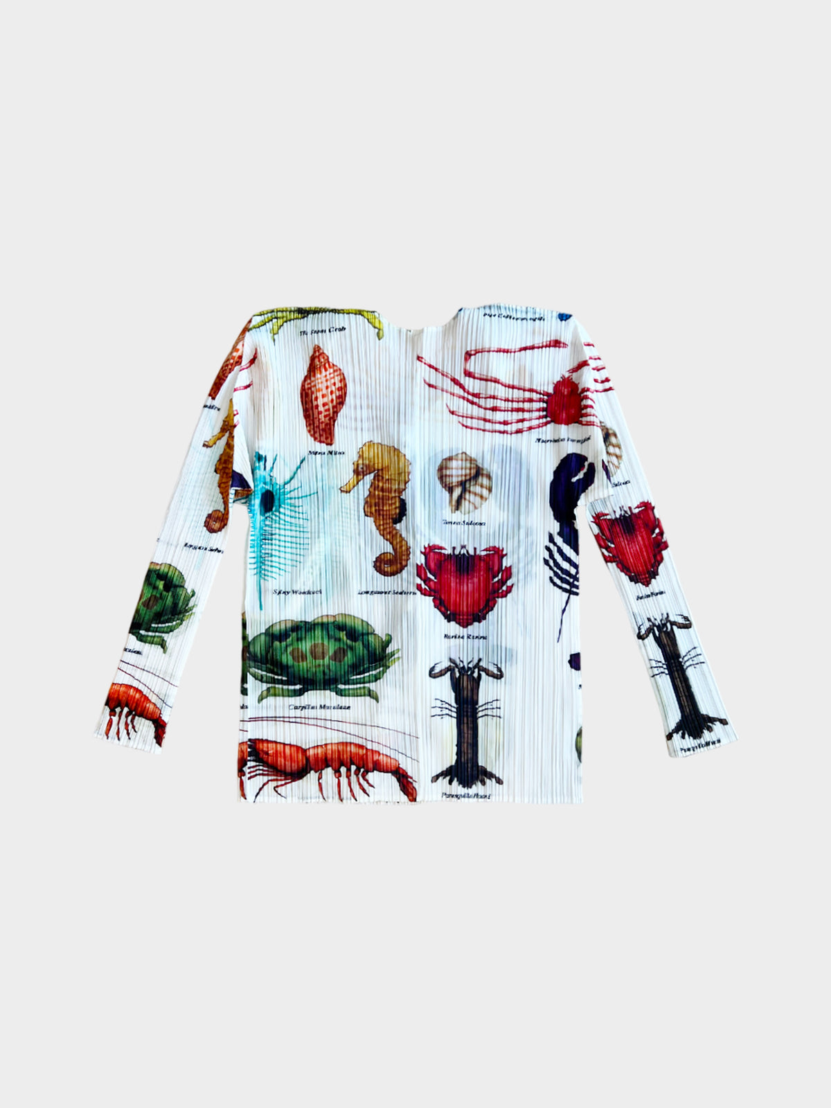 Issey Miyake Pleats Please 2001 Rare Marine Creatures Printed Jacket
