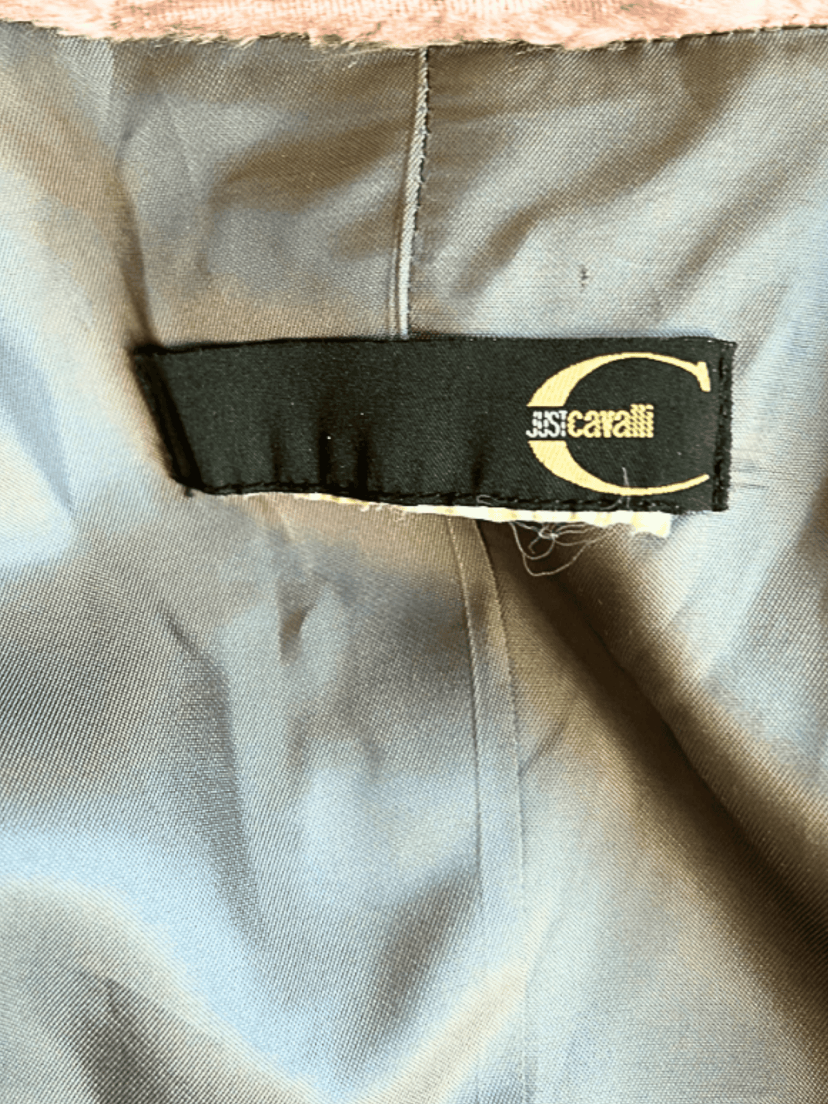 Roberto Cavalli 2000s Velour Purple Blazer Jacket