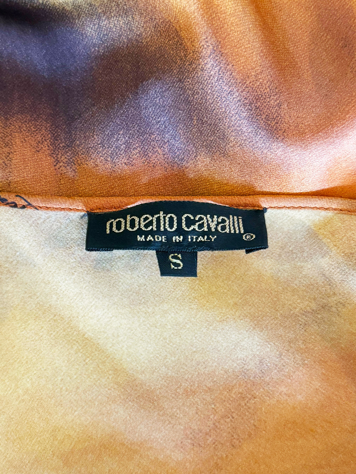 Roberto Cavalli FW 2000 Tiger Print Silk Slip Dress and Scarf Set