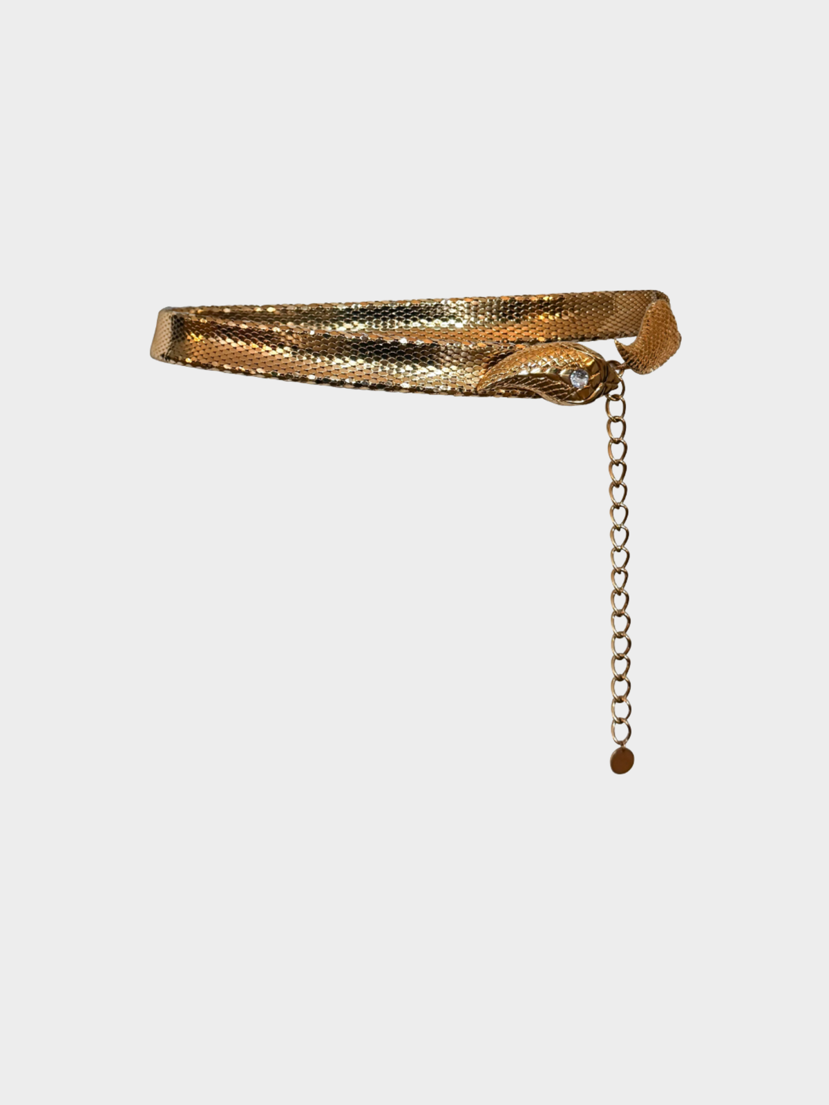 Roberto Cavalli 2000s Gold Snake Belt