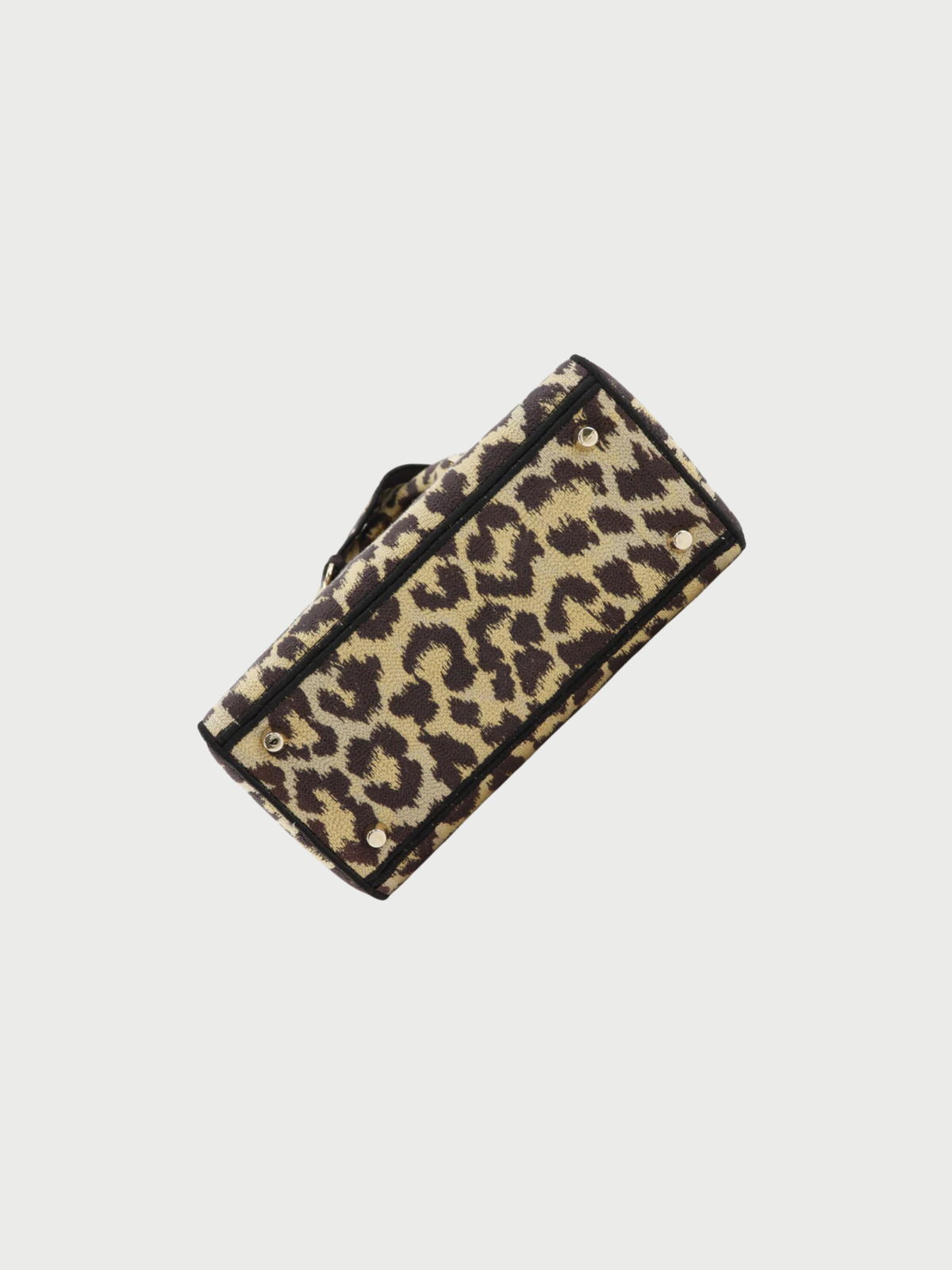 Christian Dior 2020s Brown Leopard Canvas Lady D-Light Medium Handbag
