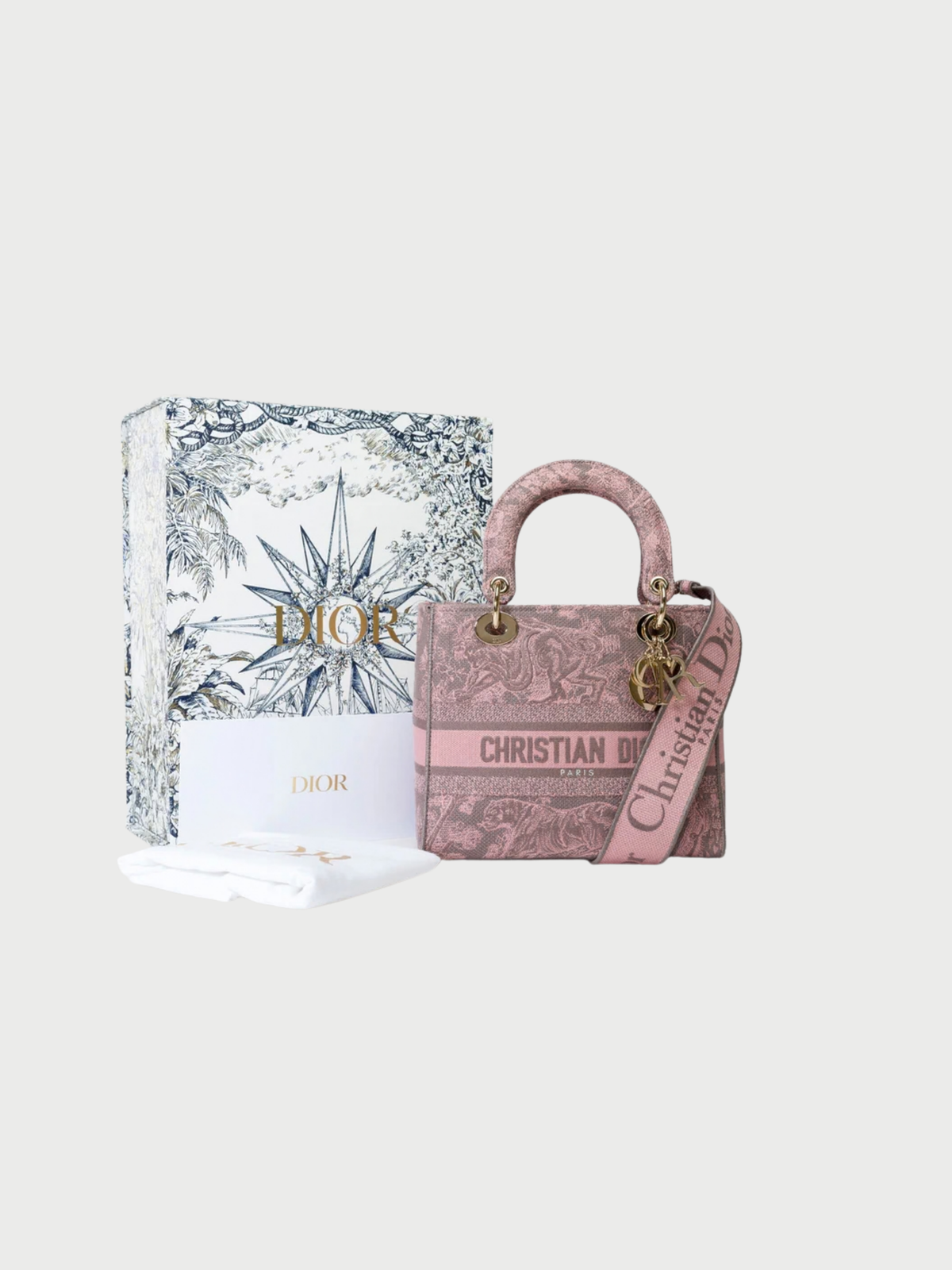 Christian Dior 2020 Pink Canvas Lady Dior D-Lite Bag