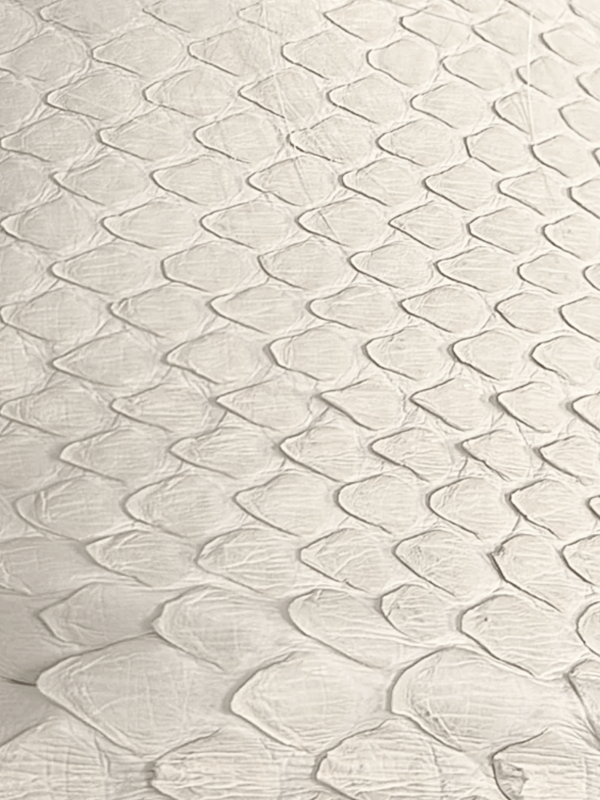 Roberto Cavalli FW 2005 White Leather, Fox & Snake Coat