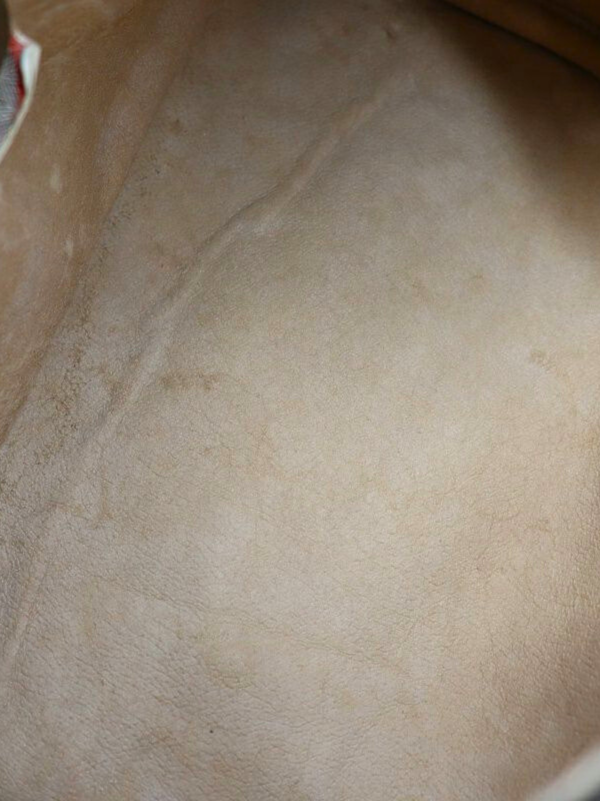 Gucci 1990s Beige and Brown Sherry Line GG Boston Bag