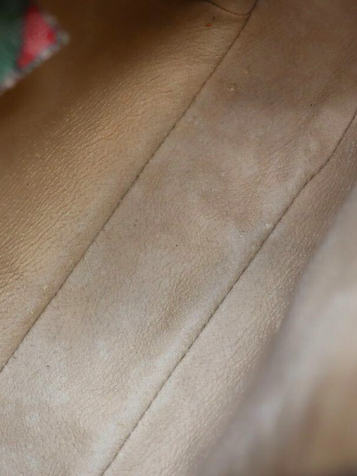 Gucci 1990s Beige and Brown GG Supreme Shoulder Bag