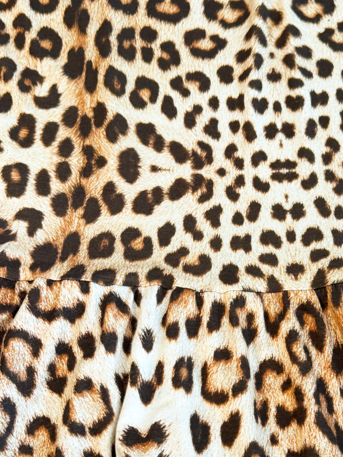 Roberto Cavalli 2000s Leopard Print Dress