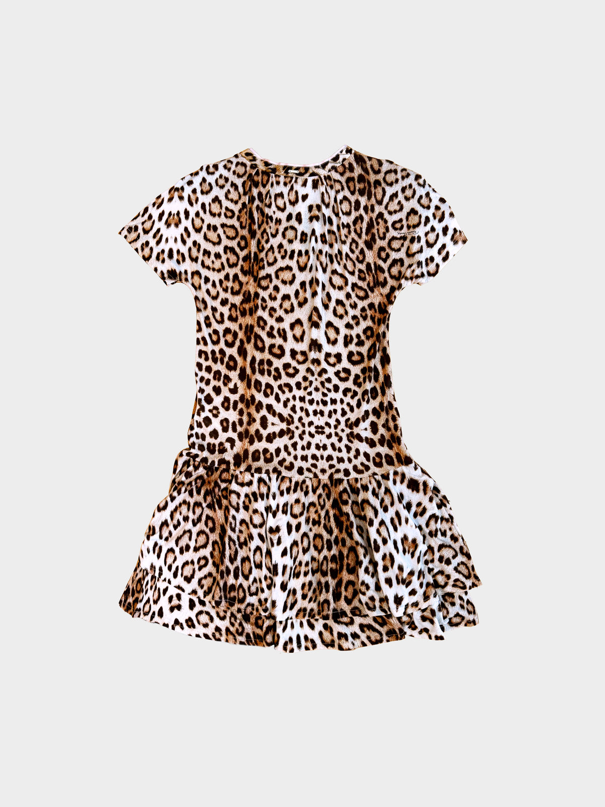 Roberto Cavalli 2000s Leopard Print Dress