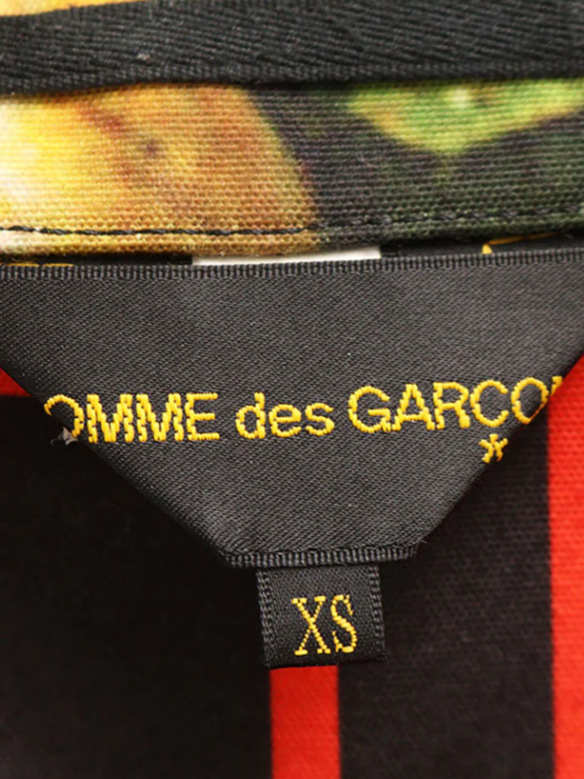 Comme des Garçons SS 2018 Fruit Print Coat