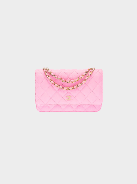 Chanel 2019 Pink Classic Wallet On Chain Bag