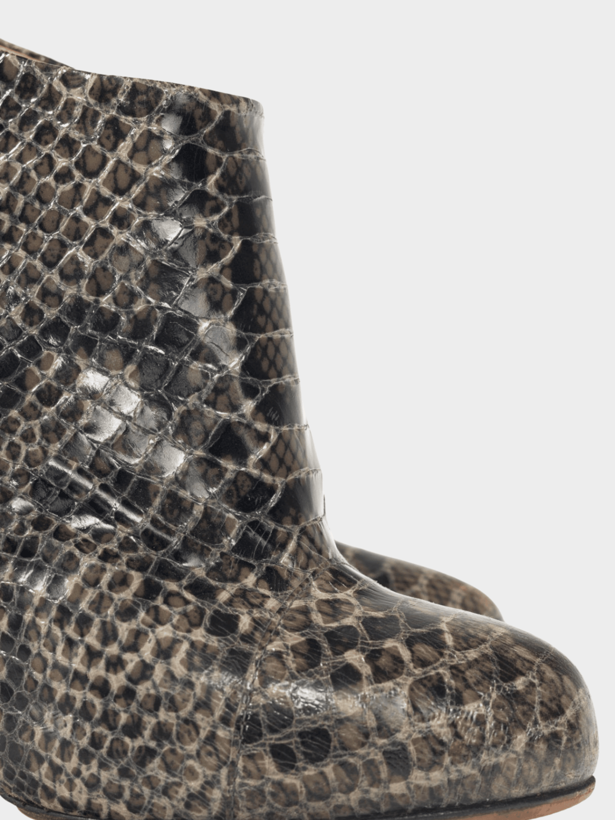 Giuseppe Zanotti 2010s Viv 100 Cenere Python Booties