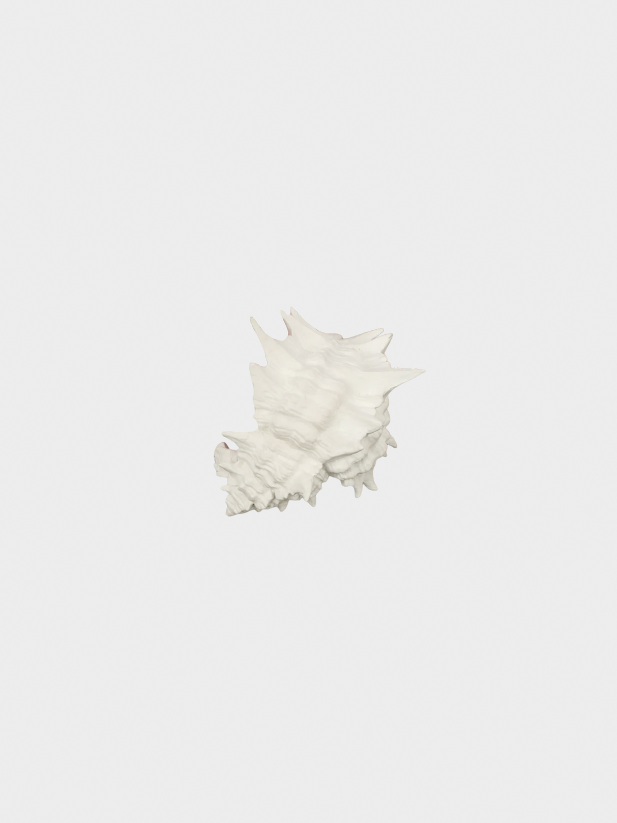 Yves Saint Laurent 2010s White Seashell Bracelet