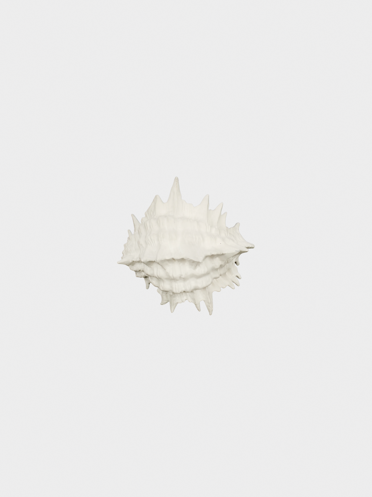 Yves Saint Laurent 2010s White Seashell Bracelet