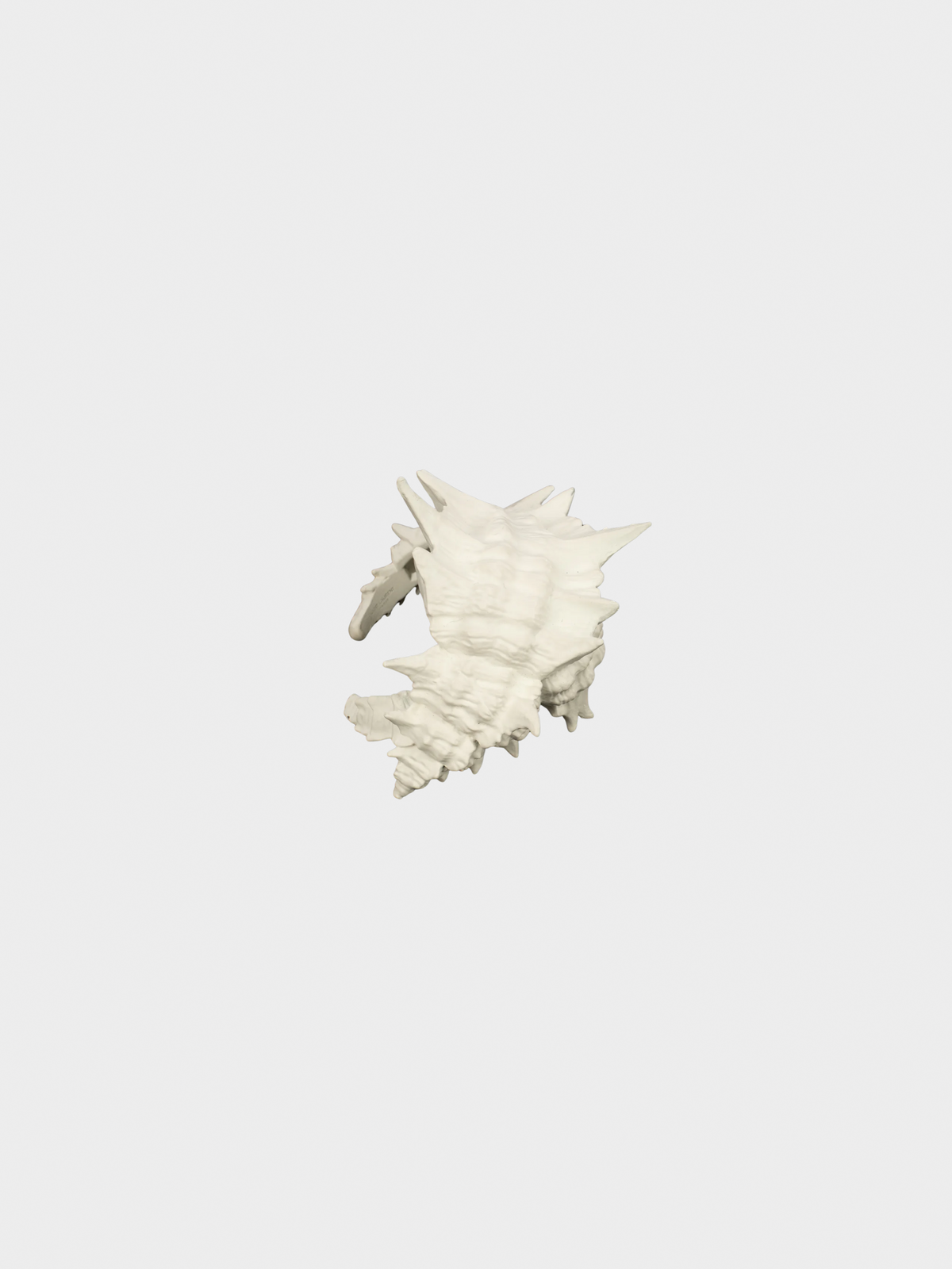 Yves Saint Laurent 2010s White Seashell Bracelet