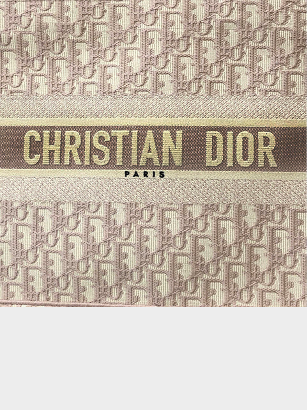 Christian Dior 2021 Nude Oblique Tote Handbag Canvas